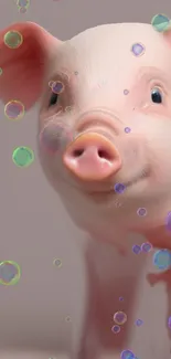 Cute pig with colorful bubbles on a playful wallpaper.