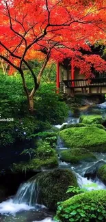 Japanese garden with red leaves and waterfall.
