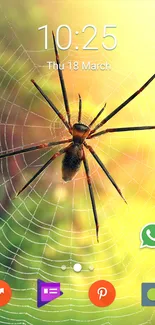 Vivid mobile wallpaper with a spider on a colorful web background.